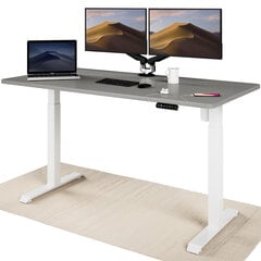 Регулируемый по высоте стол Desktronic с электроприводом, с разъемами USB A и C, Белые ноги, Серая столешница 160x80 см цена и информация | Компьютерные, письменные столы | pigu.lt