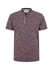 Мужская футболка Tom Tailor 1032923*30410, коричневая/тёмно-синяя, 4065308920234 цена и информация | Мужские футболки | pigu.lt