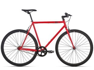 Dviratis Fixie 6KU Cayenne M kaina ir informacija | Dviračiai | pigu.lt