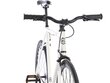 Dviratis Fixie bicycle 6KU Evian 1 M kaina ir informacija | Dviračiai | pigu.lt