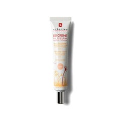 BB veido kremas Erborian Foundation BB Cream AU Ginseng Original Clair, 45ml kaina ir informacija | Veido kremai | pigu.lt