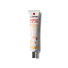 BB kremas Erborian Make-up Care Face Cream, 45 ml kaina ir informacija | Veido kremai | pigu.lt