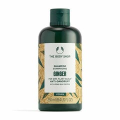 Šampūnas nuo pleiskanų The Body Shop Ginger Anti-Dandruff Shampoo, 250ml kaina ir informacija | Šampūnai | pigu.lt