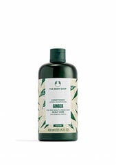 Kondicionierius nuo pleiskanų The Body Shop Ginger Conditioner, 250 ml цена и информация | Бальзамы, кондиционеры | pigu.lt