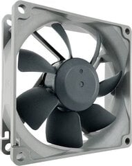 Noctua NF-R8 Redux-1200 kaina ir informacija | Kompiuterių ventiliatoriai | pigu.lt