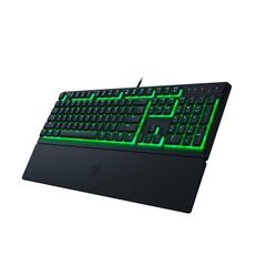 Razer Ornata V3 X kaina ir informacija | Klaviatūros | pigu.lt