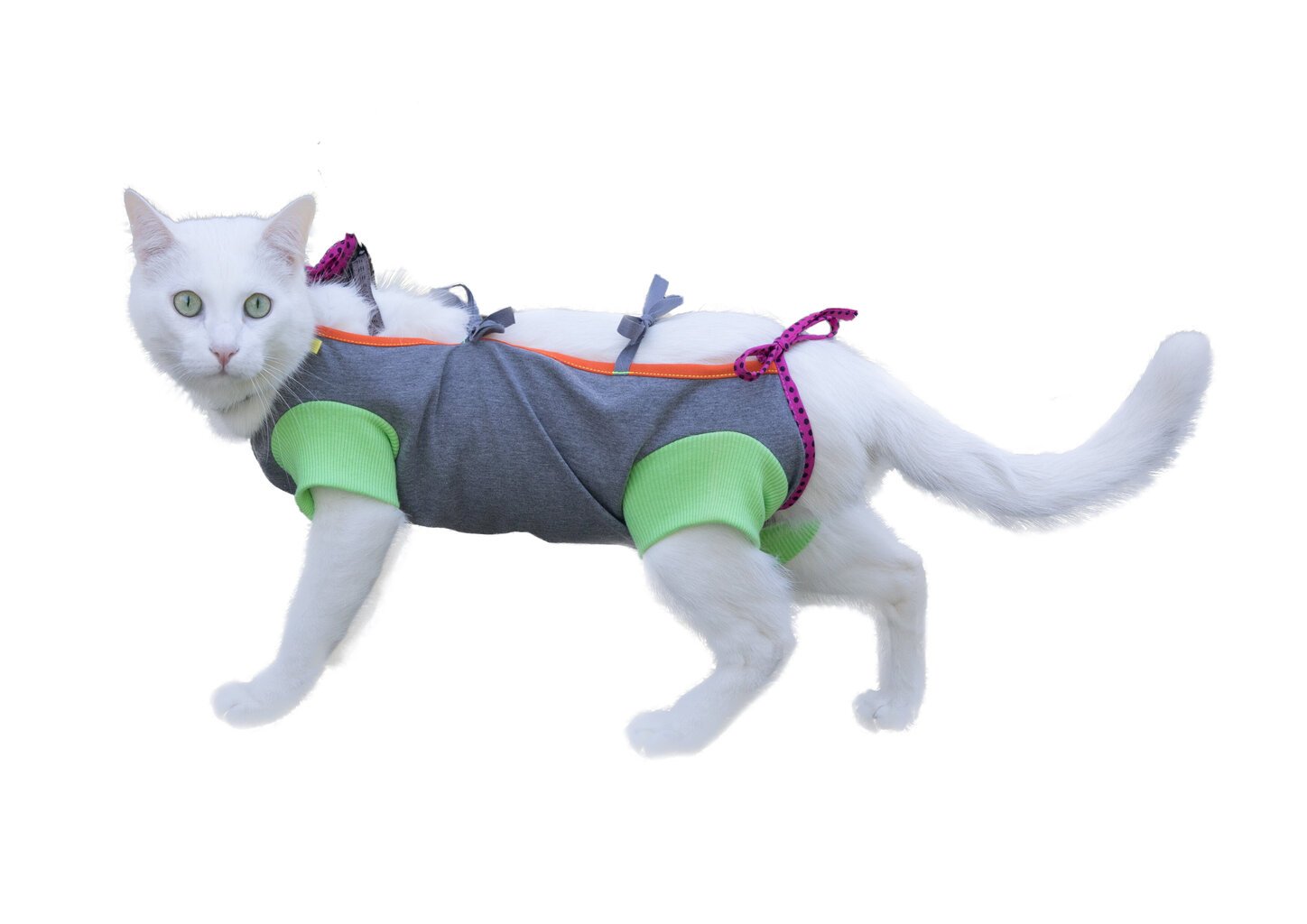 Pooperacinis trikotažinis kostiumas katei цена и информация | Drabužiai šunims | pigu.lt