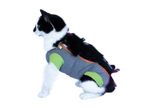 Послеоперационный трикотажный костюм для кота цена и информация | Одежда для собак | pigu.lt