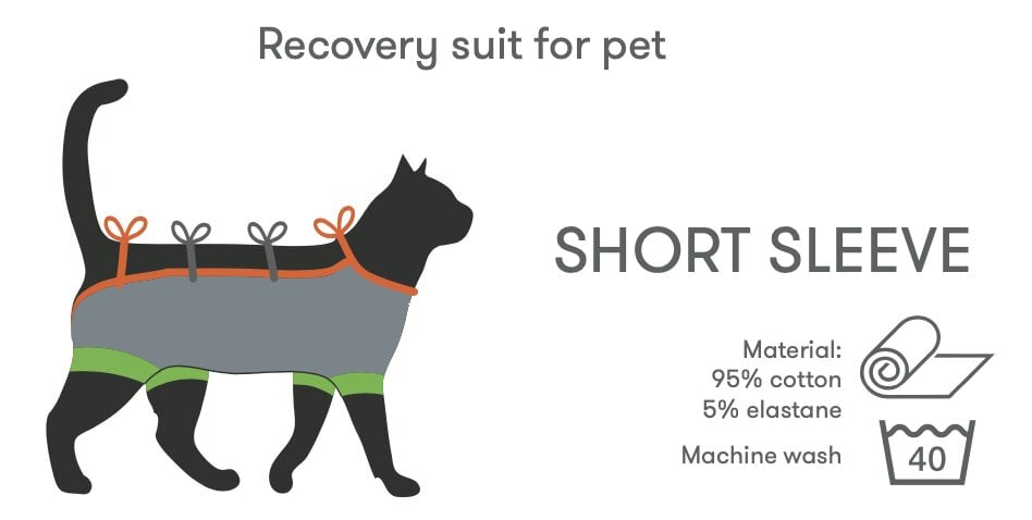 Pooperacinis trikotažinis kostiumas katei kaina ir informacija | Drabužiai šunims | pigu.lt