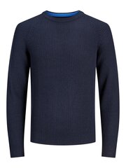 Džemperis berniukams Jack & Jones 12190719*01, mėlynas kaina ir informacija | Megztiniai, bluzonai, švarkai berniukams | pigu.lt