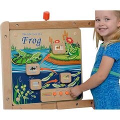 Учебная доска - Жизненный цикл лягушки цена и информация | Развивающие игрушки | pigu.lt