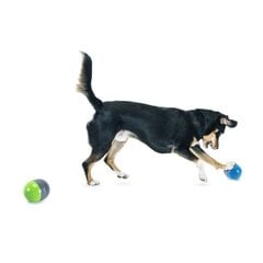 Ricohet elektroninis žaislas šunims цена и информация | Игрушки для собак | pigu.lt