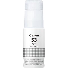 Canon GI-53GY Ink Bottle Grey kaina ir informacija | Kasetės rašaliniams spausdintuvams | pigu.lt