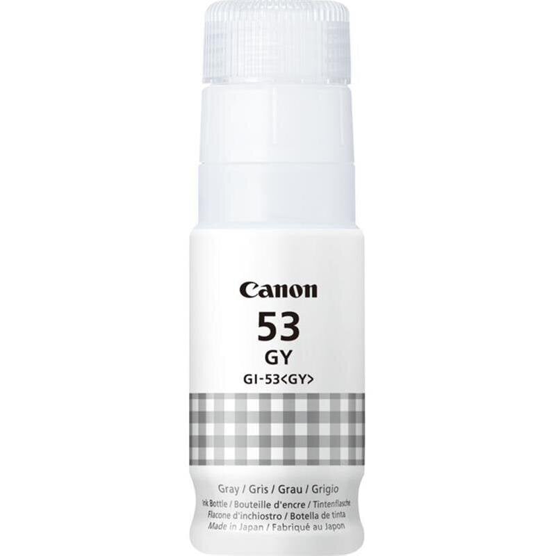 Canon GI-53GY Ink Bottle Grey kaina ir informacija | Kasetės rašaliniams spausdintuvams | pigu.lt