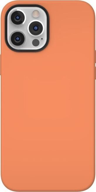 SwitchEasy MagSkin Case цена и информация | Telefono dėklai | pigu.lt