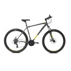 Kalnų dviratis Capriolo MTB Oxygen 29", pilkas/žalias цена и информация | Велосипеды | pigu.lt
