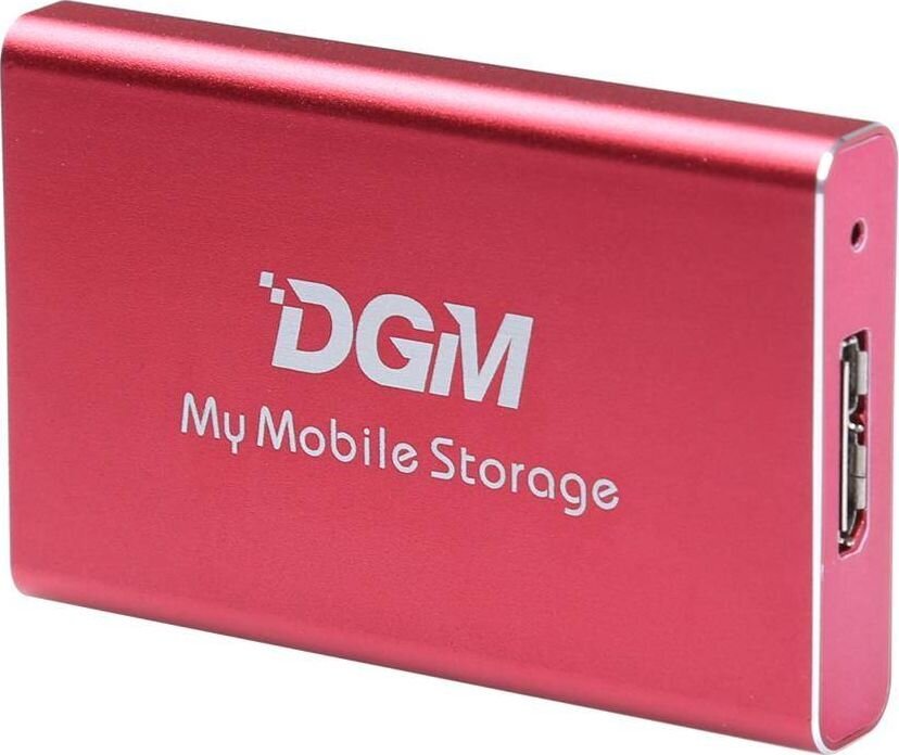 DGM My Mobile Storage MMS256RD kaina ir informacija | Išoriniai kietieji diskai (SSD, HDD) | pigu.lt