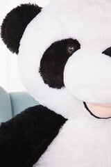 Didelė Pliušinė Panda Pado 160 Cm, Balta, Minkštas Žaislas kaina ir informacija | Minkšti (pliušiniai) žaislai | pigu.lt