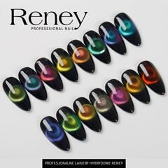 Reney Cat Eye Hybrid Lacquer 9D Magic Space 01 цена и информация | Лаки, укрепители для ногтей | pigu.lt