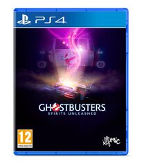 Ghostbusters: Spirits Unleashed Playstation 4 PS4 žaidimas kaina ir informacija | Kompiuteriniai žaidimai | pigu.lt