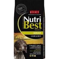 Корм для собак Nutribest Adult Lamb & Rice, 15 кг цена и информация |  Сухой корм для собак | pigu.lt