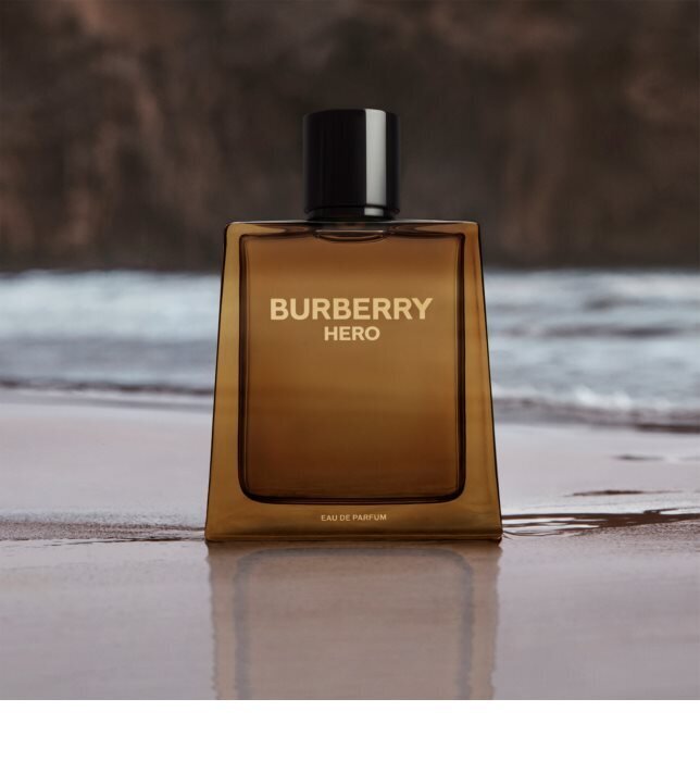 Kvapusis vanduo Burberry Hero EDP vyrams, 100 ml цена и информация | Kvepalai vyrams | pigu.lt