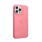 UAG skirtas Apple iPhone 12 Mini, rožinis kaina ir informacija | Telefono dėklai | pigu.lt