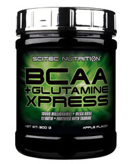 Scitec Nutrition BCAA+Glutamine Xpress 300g, mojito skonio kaina ir informacija | Aminorūgštys | pigu.lt