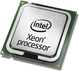 Intel Xeon Silver 4210R S26361-F4082-L811 kaina ir informacija | Procesoriai (CPU) | pigu.lt