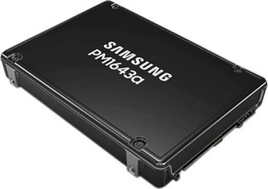 Samsung PM1643a (MZILT960HBHQ-00007) kaina ir informacija | Vidiniai kietieji diskai (HDD, SSD, Hybrid) | pigu.lt