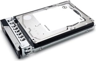 Dell 400-ATIN цена и информация | Внутренние жёсткие диски (HDD, SSD, Hybrid) | pigu.lt