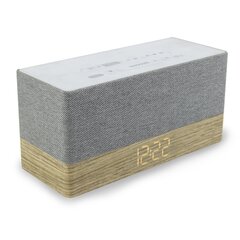 Soundmaster UR620 цена и информация | Радиоприемники и будильники | pigu.lt