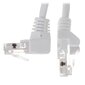 Patchcord RJ45, 3 m kaina ir informacija | Kabeliai ir laidai | pigu.lt