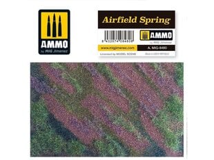 Surenkamų modelių priedas Airfield Spring Ammo Mig 8480 kaina ir informacija | Konstruktoriai ir kaladėlės | pigu.lt