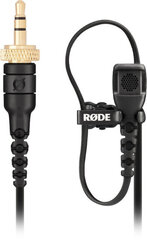 Rode microphone Lavalier II цена и информация | Микрофоны | pigu.lt