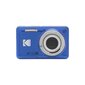 Kodak Friendly Zoom FZ55 цена и информация | Skaitmeniniai fotoaparatai | pigu.lt