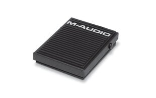 Pedalas M-Audio SP-1 kaina ir informacija | Priedai muzikos instrumentams | pigu.lt