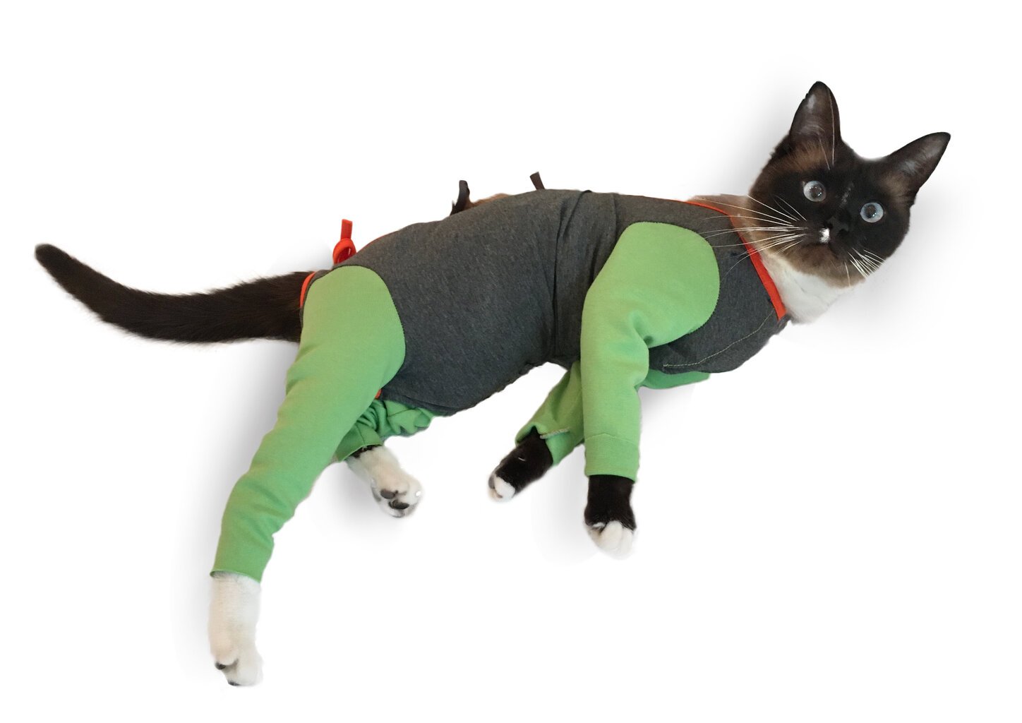 Pooperacinis trikotažinis kostiumas katei ilgomis rankovėmis kaina ir informacija | Drabužiai šunims | pigu.lt
