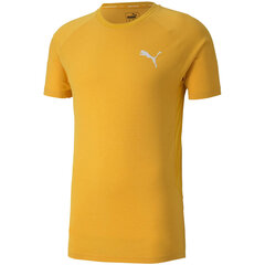 Мужская футболка Puma Evostripe Lite Tee желтая 581534 25 цена и информация | Мужские футболки | pigu.lt