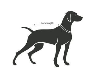 Рубашка с высоким горлом, для собак цена и информация | Одежда для собак | pigu.lt