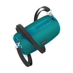 Borofone Portable Bluetooth Speaker BR4 Horizon turquoise цена и информация | Аудиоколонки | pigu.lt