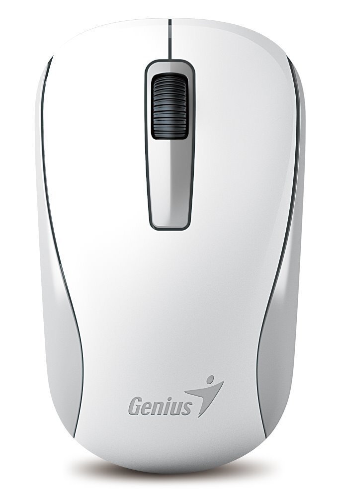 Genius NX-7005 kaina ir informacija | Pelės | pigu.lt