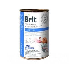 Brit GF Veterinary Diets для взрослых собак и кошек с бараниной и горошком Recovery, 0,4 кг цена и информация | Консервы для собак | pigu.lt