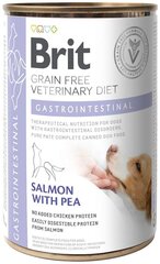 Brit GF Veterinary Diets suaugusiems šunims lašiša su žiniais Gastrointestinal, 0.4 kg kaina ir informacija | Konservai šunims | pigu.lt