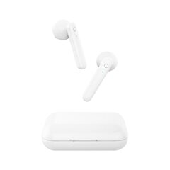 Forever Bluetooth earphones TWE-110 Earp white kaina ir informacija | Forever Išoriniai kompiuterių aksesuarai | pigu.lt