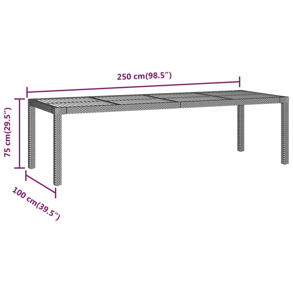 vidaXL Sodo stalas, pilkos spalvos, 250x100x75cm, poliratanas kaina ir informacija | Lauko stalai, staliukai | pigu.lt