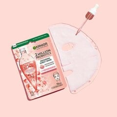 Atkuriamoji tekstilinė kaukė su probiotinėmis frakcijomis Skin Natura ls, 22 g цена и информация | Garnier Для ухода за лицом | pigu.lt