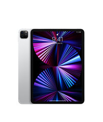 iPad Pro 11" 2.gen 256GB WiFi + Cellular, Silver (atnaujintas, būklė A) kaina ir informacija | Planšetiniai kompiuteriai | pigu.lt