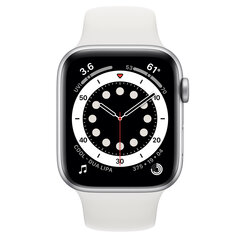 Apple Watch Series 6 44mm Silver Stainless Steel (Atnaujinta A) kaina ir informacija | Išmanieji laikrodžiai (smartwatch) | pigu.lt