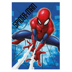 Плед для детей Spiderman, 100x140cm цена и информация | Покрывала, пледы | pigu.lt